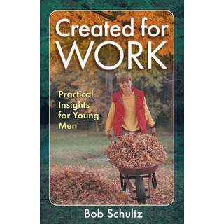Created for Work: Practical Insights for Young Men